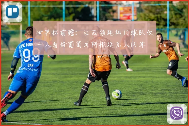 世界杯前瞻：法西领跑热门球队仅一人看好葡萄牙阿根廷无人问津