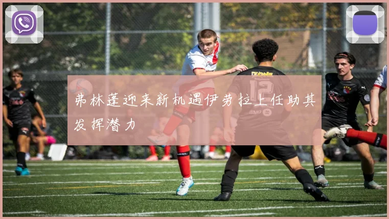 弗林蓬迎来新机遇伊劳拉上任助其发挥潜力